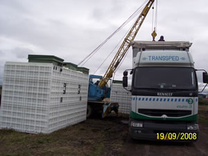 topas300-2.jpg